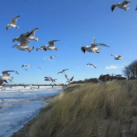 Ostseeflair-im-ferienhaus-flair-am-meer Zingst